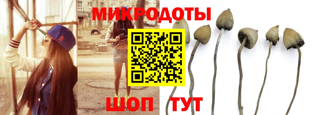 Галлюциногенные грибы MAGIC MUSHROOMS Первоуральск
